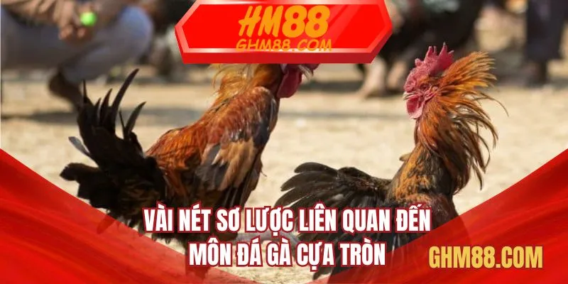 Vài nét sơ lược liên quan đến môn đá gà cựa tròn